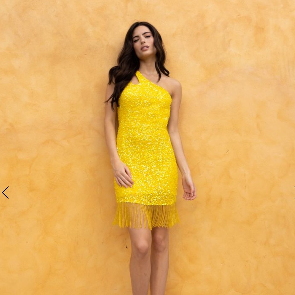 Sophia Thomas Hoco Dress